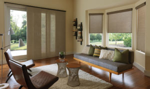 Solar Shades Living Room Austin, Texas